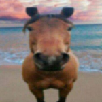 :3 Funn