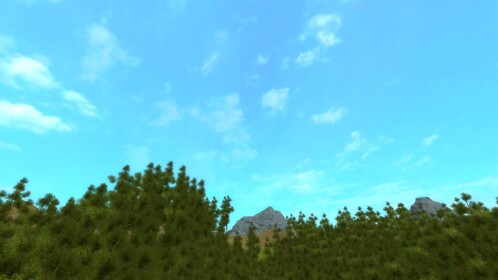 Verloren Forest