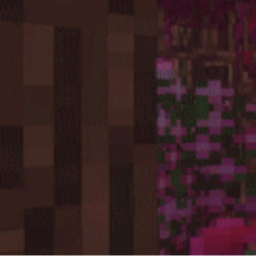 ✧
