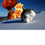 agents of cat