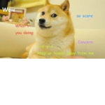 The Doges of Robloxia Forever