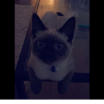 z0ey