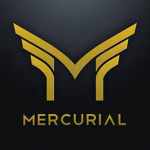 Mercurial Enterprises International