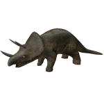 Triceratops in Back