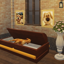 Moosy's Funeral