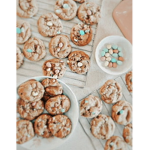 Cookie chip squad x