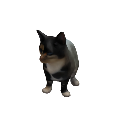 JERI