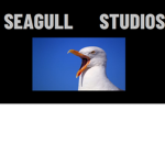 Seagull Studios!
