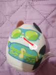 gatos insanos y minions