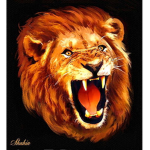 Super Lionz