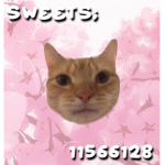 sweets;