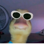 Duck Armyyyy!