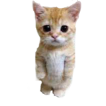 Chj Em Sương Máu