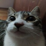 A Redex Core Game (AXEL UPDATE)