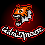 Gruppo delle vere tigri pro player