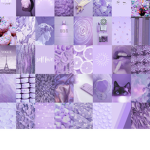 LAVENDER STUDI0