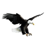 Speed land group