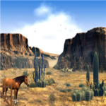 wild west