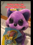 CATNAP & SMILING CRITTER’S STUDIO