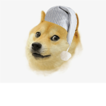 doge 123