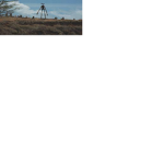 eloneklol's grup