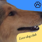 LoveDogClub