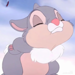 cuwte