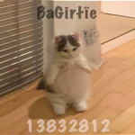 ßaGirłïe