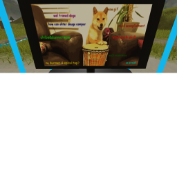 the doge world