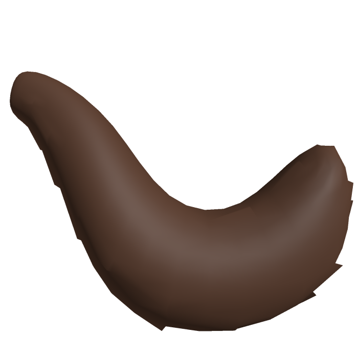 Brown Furry Cat Tail