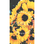 my sun flowers :>