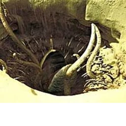 sarlacc icon