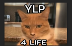 YLP Oficial
