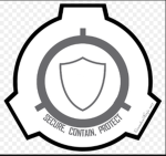 [SCPF] The Security
