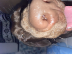 elliebellie<3
