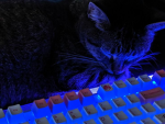 SimplyKat's Group!