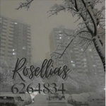 Rosellias