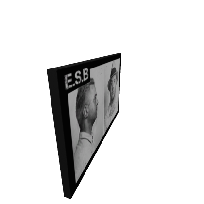 E.S.B Picture of Friends