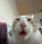 :] ,