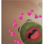 kErMiT iS a FrOg