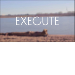 Roblox Fan Group®