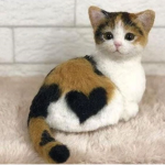 riris e kittens