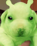 xXLinalivkXx