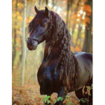 Horse ppl join this group lol