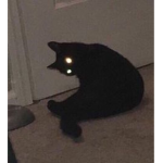 clovr