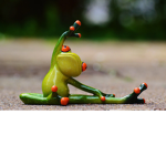 Simply Frog's group