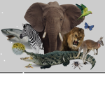 Help the endangered