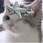 !ddmeow ᗢ