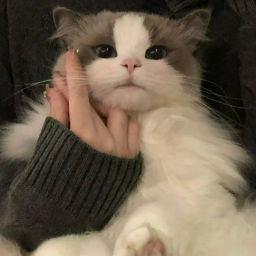 ☆