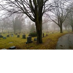 Vibe graveyard